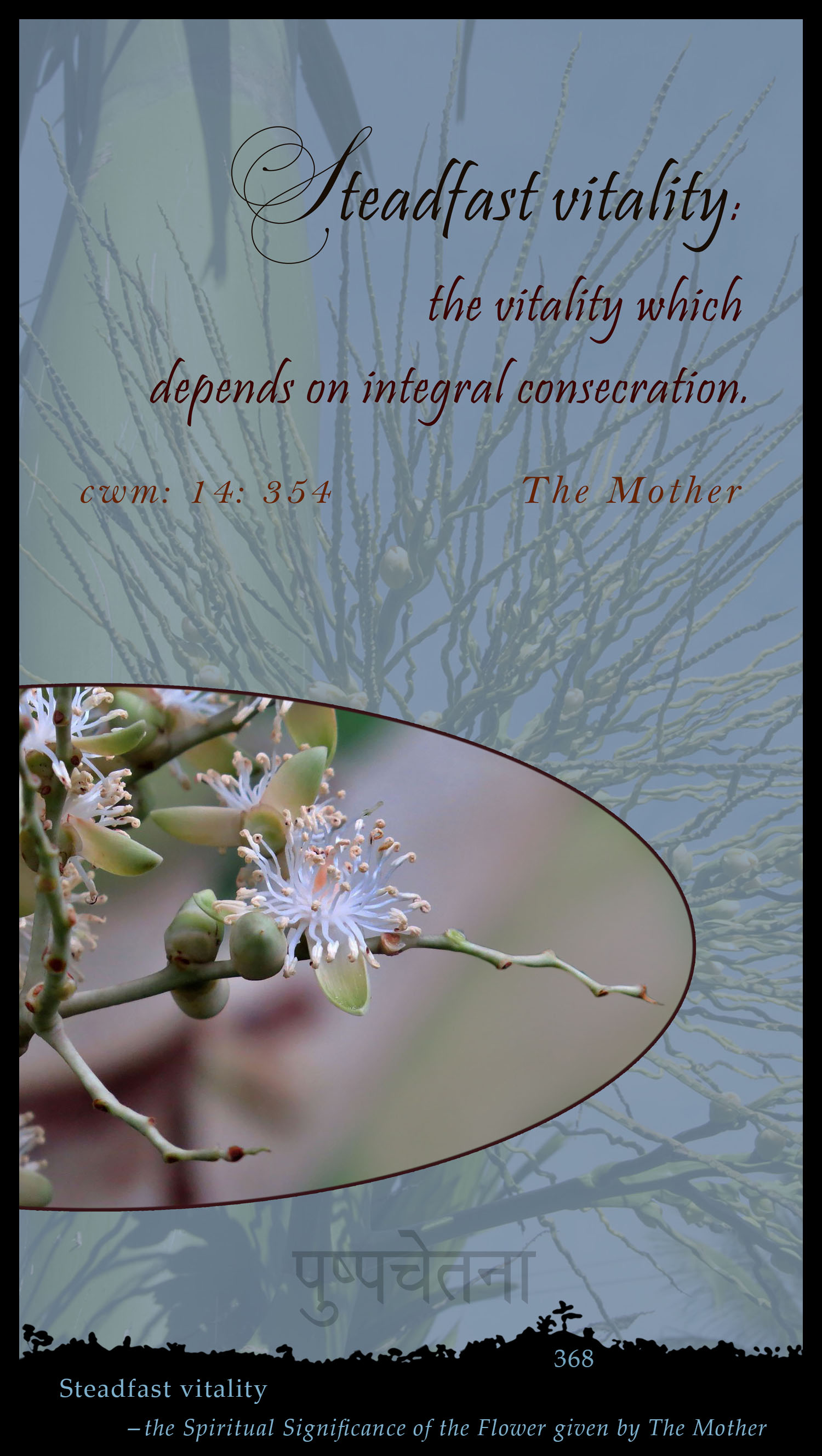 Steadfast Vitality